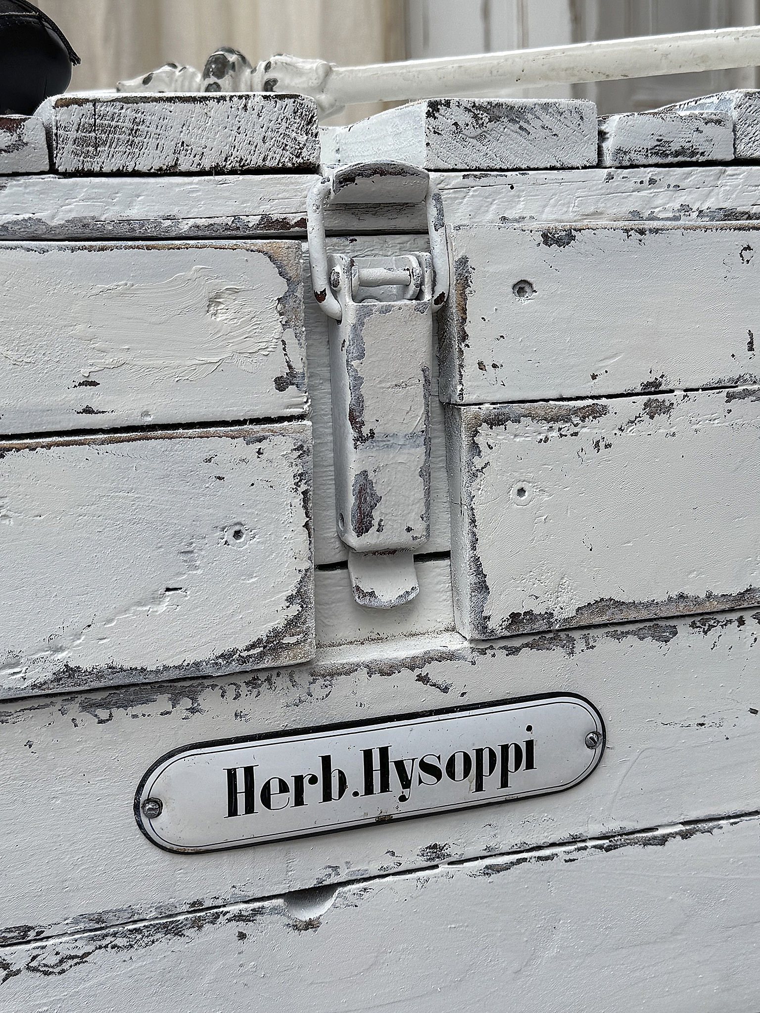 Detailaufnahme einer Holztruhe mit der Aufschrift "Herb. Hysoppi"