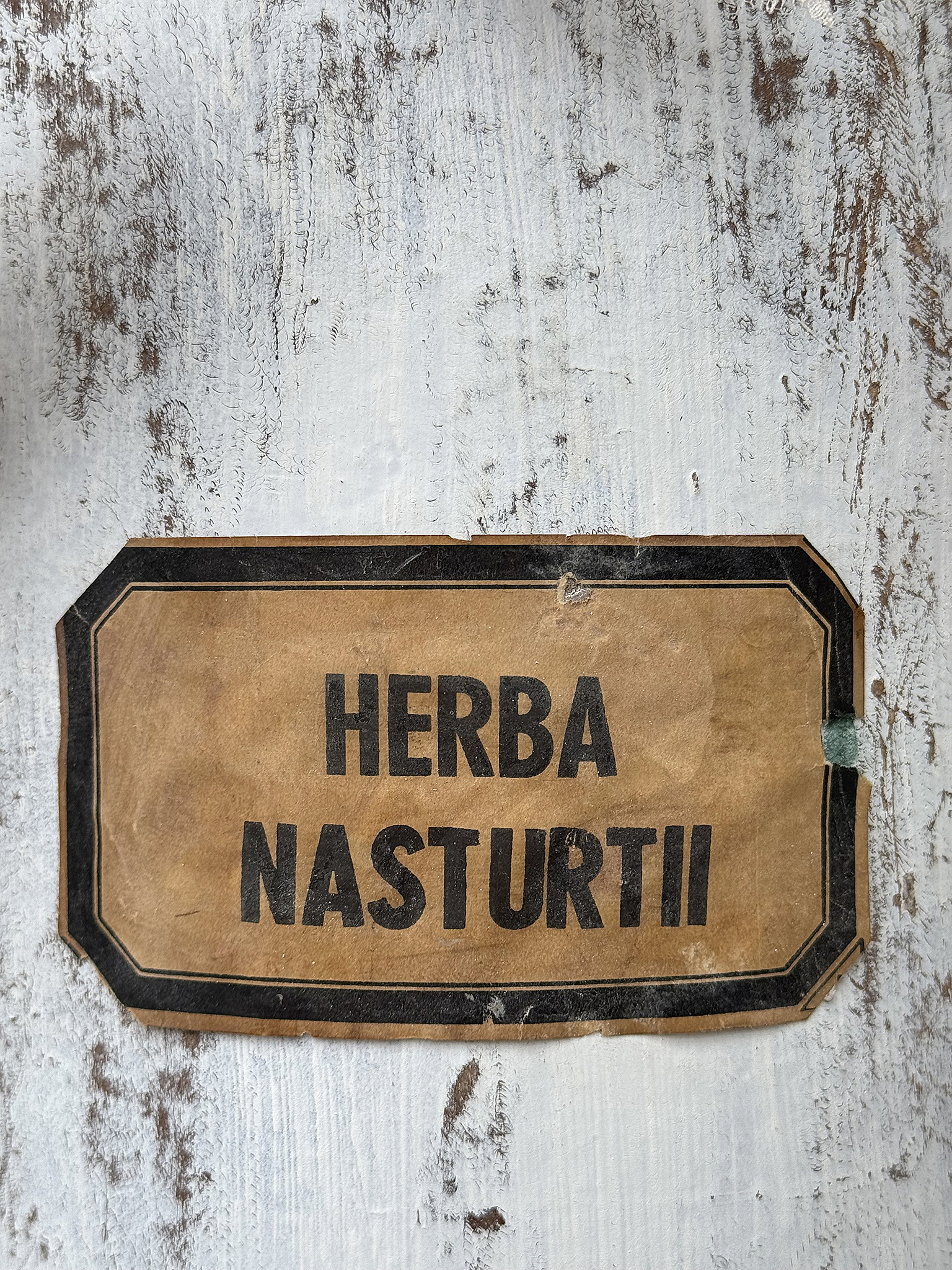 Etikett mit der Aufschrift 'Herba Nasturtii' auf einem Holzbrett.